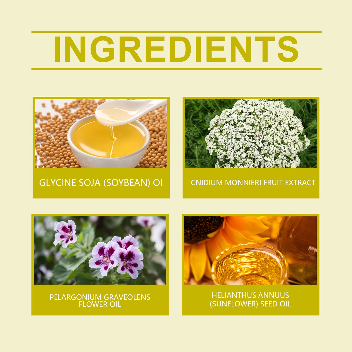 North Moon Women's Care Capsules Gently Clean, Nourish And Firm Body Skin Balance Care Capsules