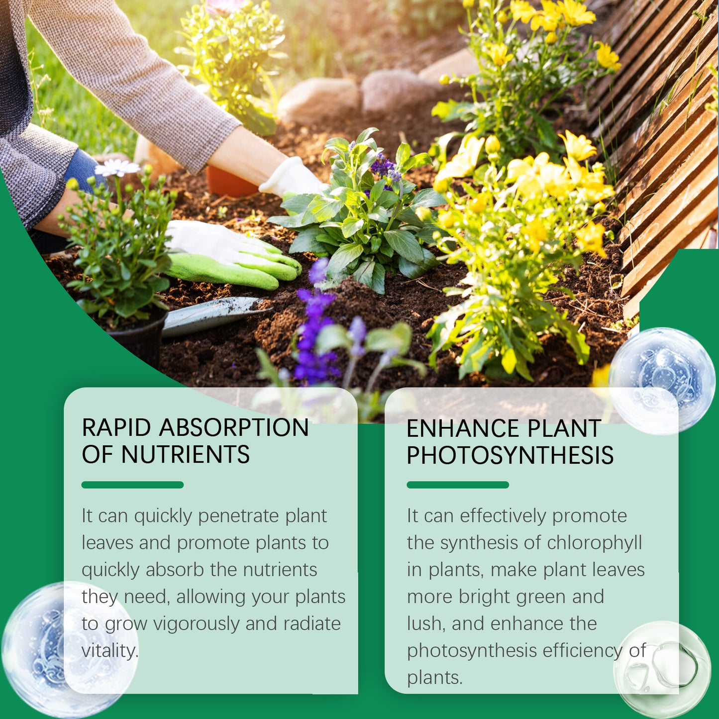 Moonspry Chlorophyll Spray, General Whole Plant Nutrient Solution For Healthy Growth Of Flowers And Fruit Trees And Green Leaves