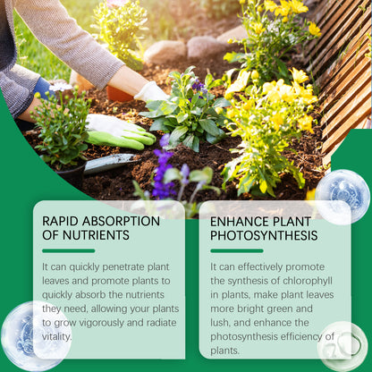 Moonspry Chlorophyll Spray, General Whole Plant Nutrient Solution For Healthy Growth Of Flowers And Fruit Trees And Green Leaves