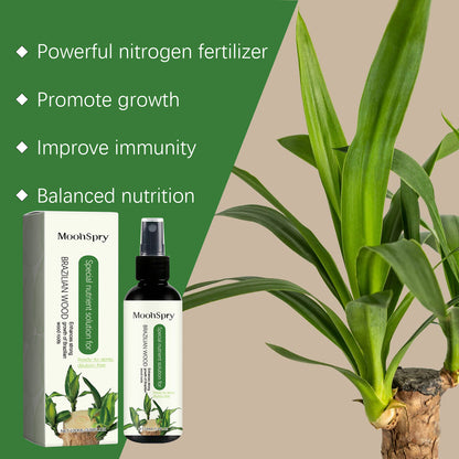 Nutrient Solution For Plants Green Plant Fertilizer Nutrient Solution For Green Leaf Pot Brazilian Wood Fertilizer