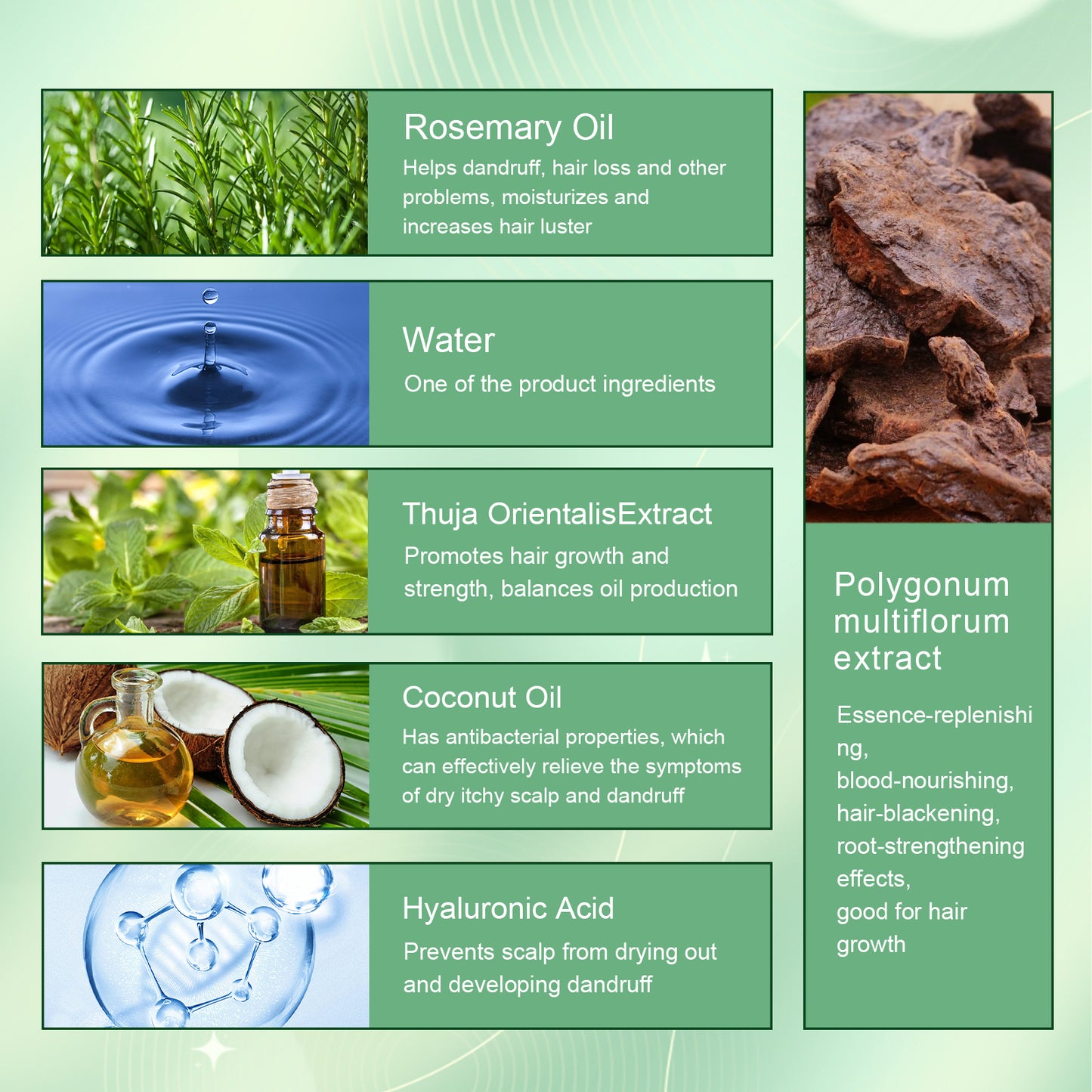 Rosemary Dense Hair Spray Hydrates Roots For Increased Elasticity Restoring Shine Anti-Set Hair Spray