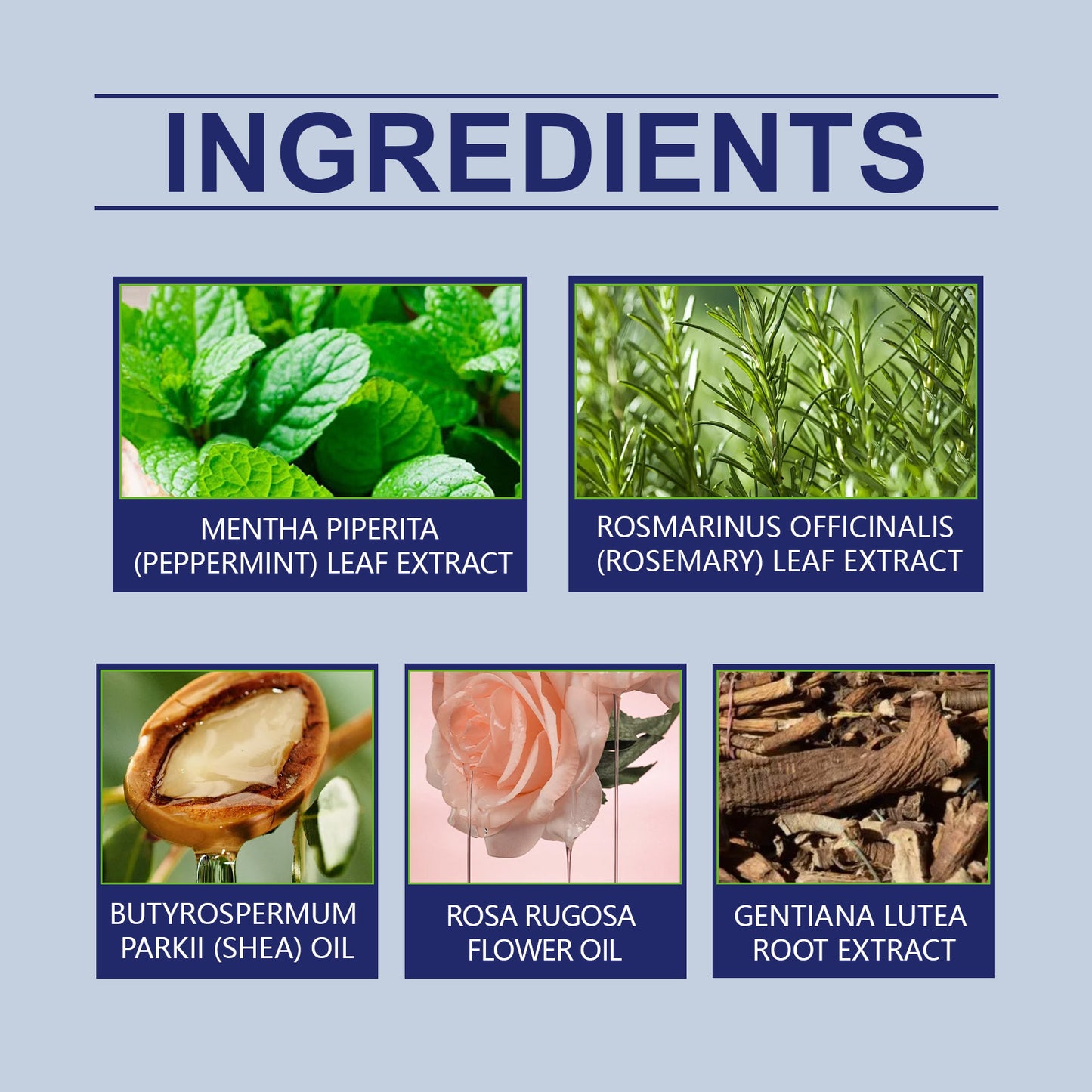 Oceaura Herbal Balm Moisturizes And Moisturizes Body Skin With Mosquito Bite Skin Care Balm