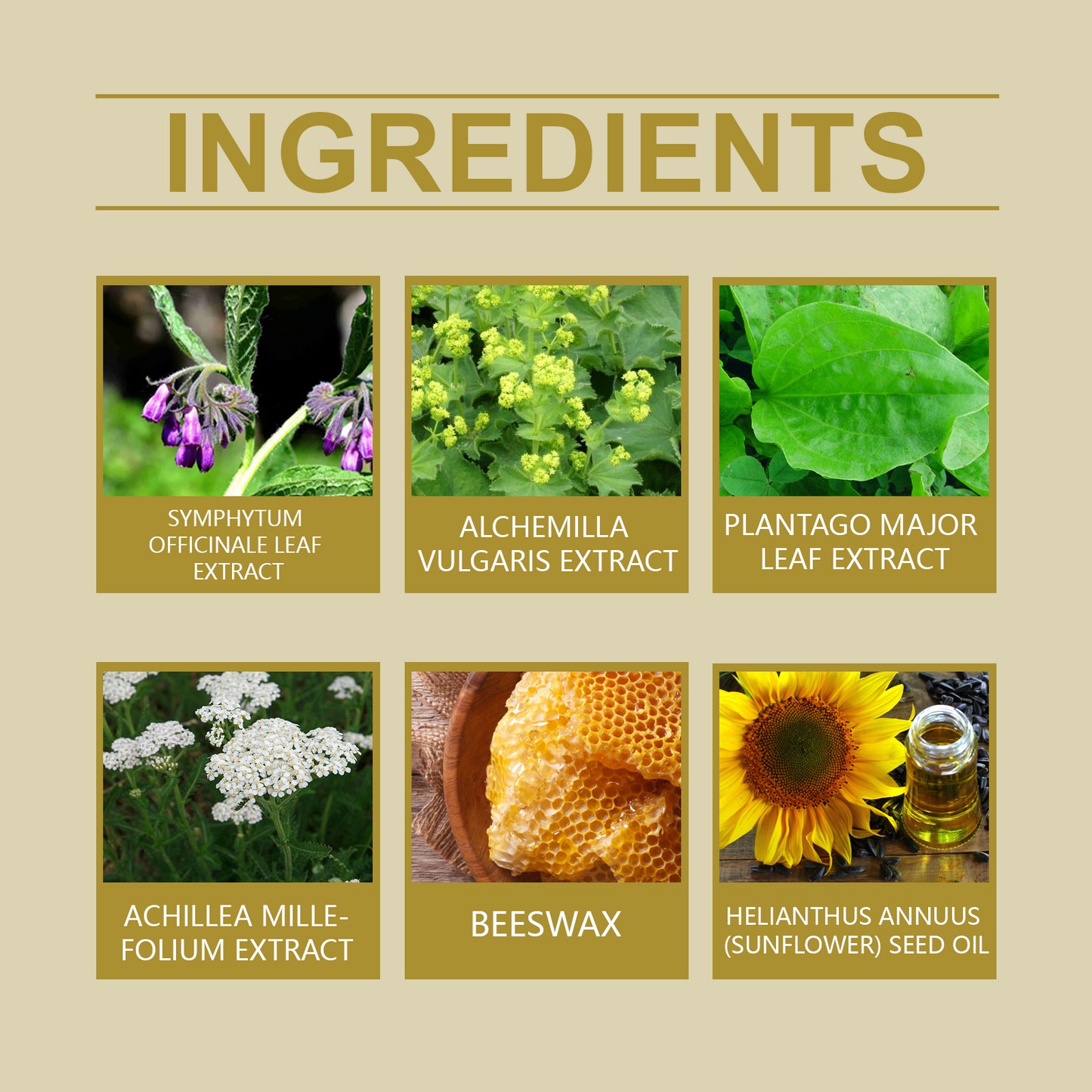 Herbal Cream Gently Moisturizes Neck, Shoulders, Waist, Legs And Knees Body Massage Cream