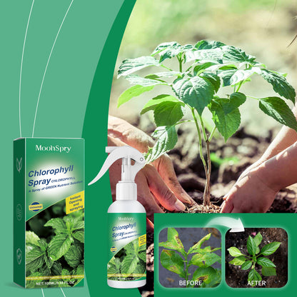 Moonspry Chlorophyll Spray, General Whole Plant Nutrient Solution For Healthy Growth Of Flowers And Fruit Trees And Green Leaves