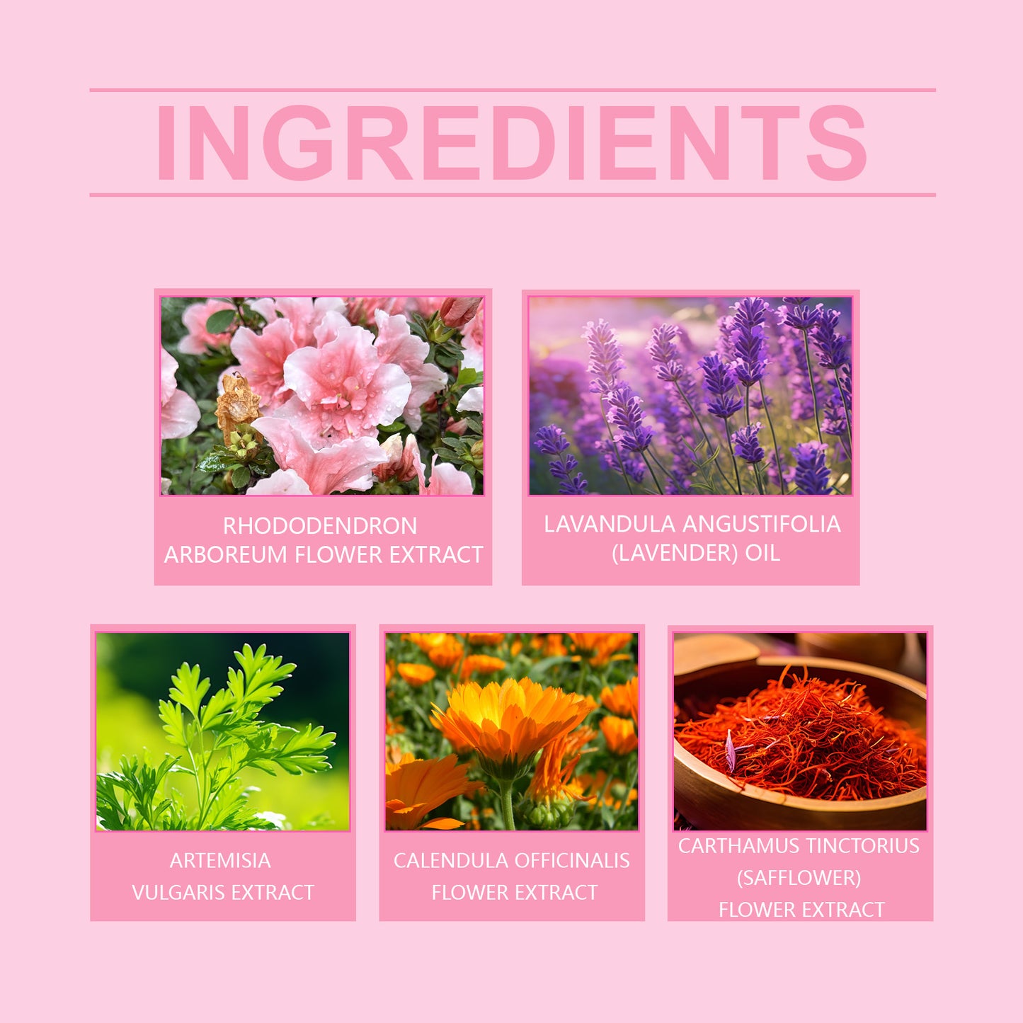 North Moon Body Cleansing Mousse Ladies Balance Moisturizing Comfort Skin Gently Cleansing Body Mousse