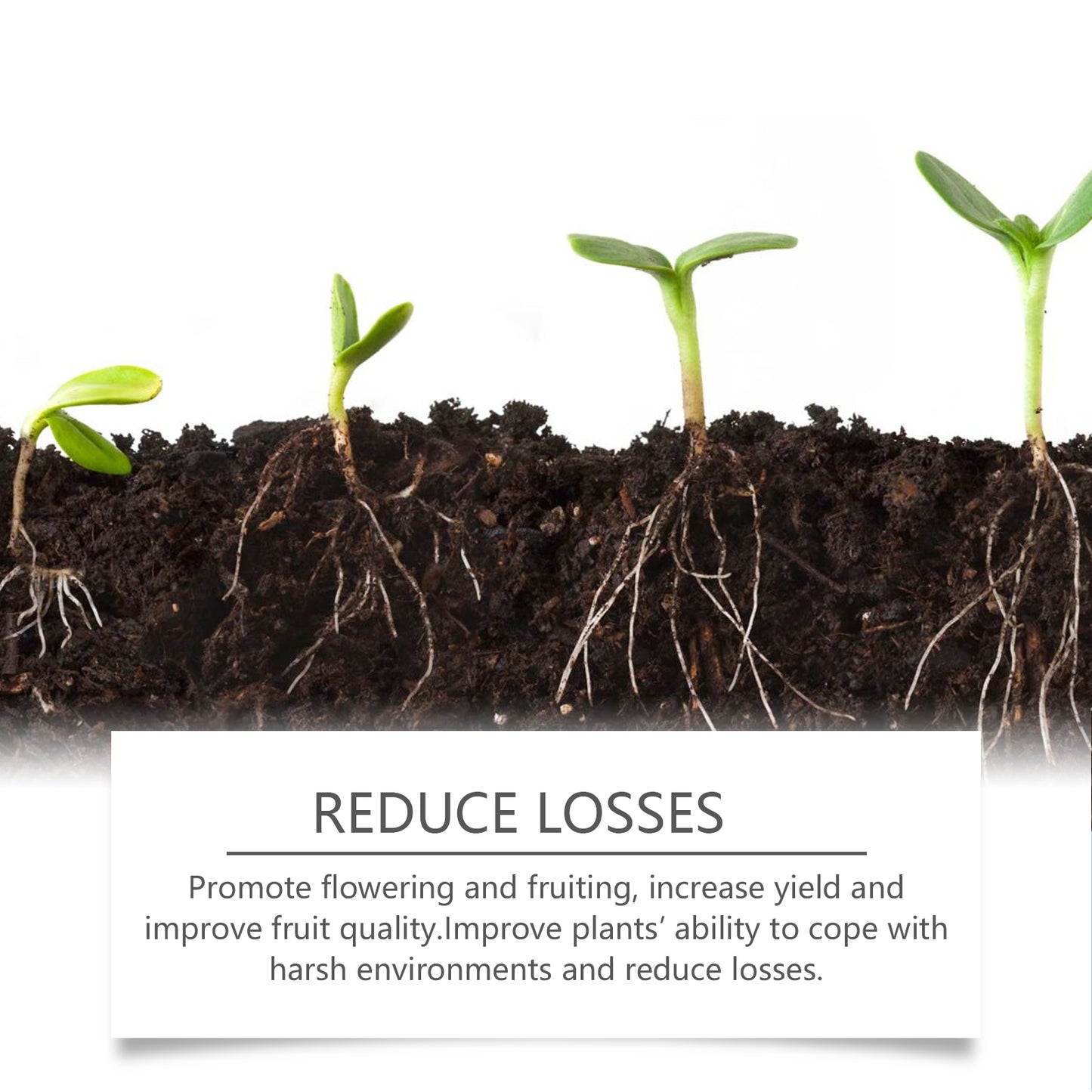 MoonSpry Plant Root Powder Is A Nutrient Supplement To Improve The Rooting And Seedling Strength Of Soil Green Plants And Flowers