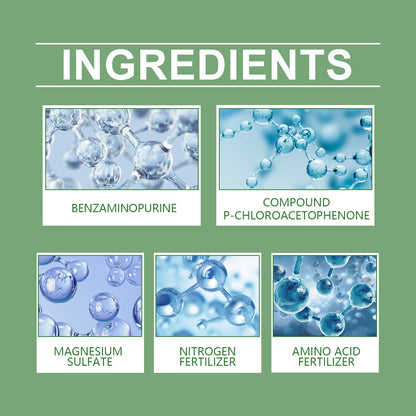 Nutrient Solution For Plants Green Plant Fertilizer Nutrient Solution For Green Leaf Pot Brazilian Wood Fertilizer